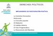 Diapositivas participacion politica
