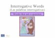 3 interrogative words