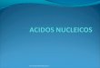 Acidos nucleicos2013