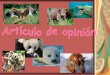 Artículo de opinión sobre animales en extinción