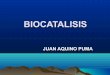 Biocatalisis juan