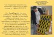 Σκακιστικές στρατηγικές από τον κ. Νίκο Λυγερό