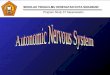 utonomic nervous system