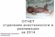 Отчет отделения анестезиологи и реанимации БУ "РДКБ" МЗСР ЧР за 2014 год