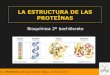 Estructura de-las-proteinas-jano