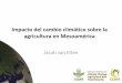 Jacob van Etten - Impacto CC en Agricultura en Mesoamerica