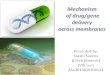 Drug delivery mechanisms