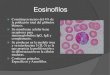 Eosinofilos Histologia
