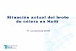 Ops   Presentación situacion del cólera en haiti 10-2010
