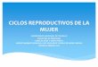 Ciclos reproductivos de la mujer. Ciclo menstrual. UNT. J. Vásquez Rumiche