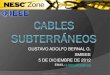 Nesc cables subterraneos dic2012