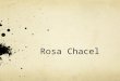 Rosa chacel