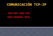 Comunicación tcp ip