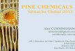 2013 Encontro de Pine Chemicals São Paulo