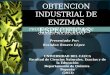 Obtencion industrial de enzimas especificas Presentacion