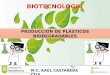 Produccion de plasticos biodegradables
