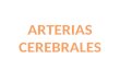 IRRIGACION CEREBRAL, CEREBRO, ARTERIAS CEREBRALES, VENAS CEREBRALES