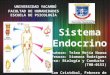 Universidad yacambú=sistema endocrino=telma mejía2