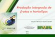 Dra. Gisele Grilli - Situação atual da Produção Integrada de Frutas e Hortaliças no Brasil