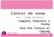 Prevención y detección cáncer de mama 2013 Dra. Linda Valencia