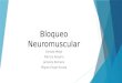 Bloqueo neuromuscular (Relajantes musculares)