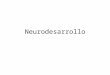 Neurodesarroll0p 2b