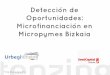 Estudio: Estado de las Micropymes en Bizkaia