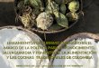 4 isabel restrepo presentación política cocinas colombia