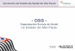 ORGANIZAÇÕES SOCIAIS DE SAÚDE NO ESTADO DE SÃO PAULO