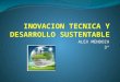 Inovacion tecnica y desarrollo sustentable
