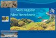 Sub región mediterránea