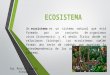 Conozcamos el ecosistema