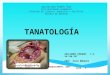 Presentación   medicina legal tanotología
