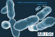 2015 - Demo fotográfica de grupos taxonómicos de protistas en fangos activos