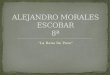 8A La Rana De Pozo Alejandro Morales Escobar