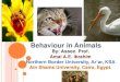 Animal behaviour