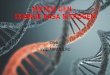 Mutasi gen change basa nitrogen EVID ARFAN, SAROLANGUN