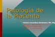 Patología de la Placenta