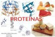 Proteinas 2nico