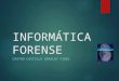 Informatica forense 2015