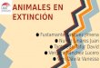 Animales en Peligro de Extinción -