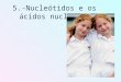 Nucleótidos 3º