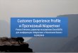 Customer experience profile&PredictiveMarketing_R.Styatugin_31032015