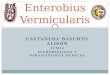 Enterobius vermicularis