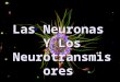 Clase. sintesis de proteinas y neurotransmisores