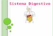 Seminario de digestivo