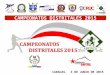 2015   ABEDICA - Campeonatos Distritales - Guía categorías Iniciación y Formación
