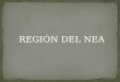 Región del NEA