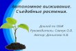 Данилова Наташа съедобные растения