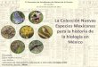 La Colección Nuevas Especies Mexicanas para la historia de la biología en México
